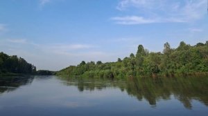 Красивая природа. Лето. Река Иня квакают лягушки. Пригород Новосибирска.