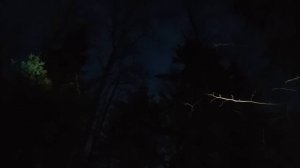 Построили ДОМ ПОД ЗЕМЛЕЙ своими РУКАМИ в ЛЕСУ - НОВАЯ СТЕНА и СТОЛ, ЛОСИ - Строительство Землянки