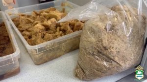 Курганской полицией ликвидирован наркоцех, где задержанные супруги изготовили 22 кг мефедрона