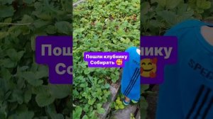 #челенджколлаген 81/86 #день медика