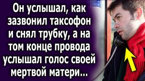Он услышал, как зазвонил таксофон и снял трубку, а на том конце провода услышал голос своей мертвой