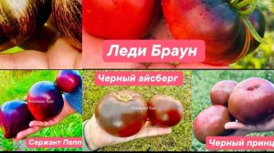 🟣ВЛОГ: ДЕНЬ ИЗ ЖИЗНИ 👩🌾