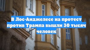 В Лос-Анджелесе на протест против Трампа вышли 30 тысяч человек