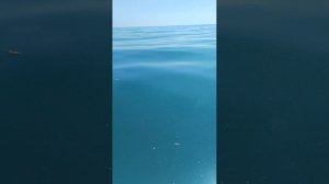 Море, Лермонтовская 05.05.2025