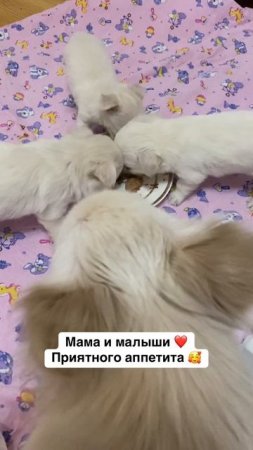 Как же быстро растут наши малыши 🥹