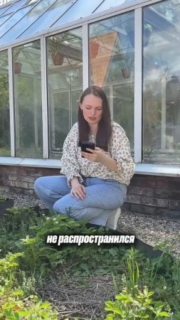 Пишет нам подписчица