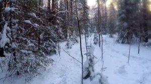 ЭТО БУШКРАФТ | ХРОНИКИ ЗИМНЕГО ЛЕСА