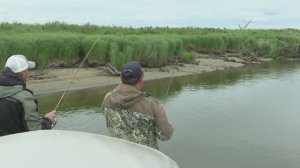 Они под берегом и очень злые! Клев дикого хищника на Амуре