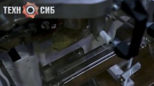 Запуск производственной линии - Фасовка семян горчицы