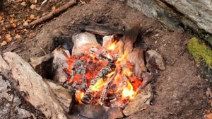 Дикая кухня - ЗАПЕЧЕННОЕ МЯСО В КАМЕННОЙ ЯМЕ | BUSHCRAFT COOKING IN STEAM PIT