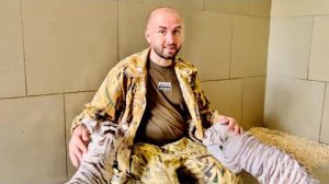 Мы просто В ВОСТОРГЕ от бенгальских тигрят, а какие они шустрые, совсем не похож