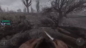 Как выглядит выживание без ничего в STALKER GAMMA