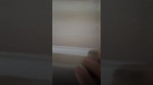 Очередной видеоотзыв от счастливого владельца РШМ Анкорд 🙌