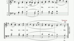 Аллилуйя. муз. А. Машкова. (альт)
