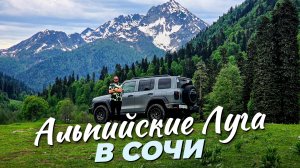 АЛЬПИЙСКИЕ ЛУГА - всего 2 часа от Сочи