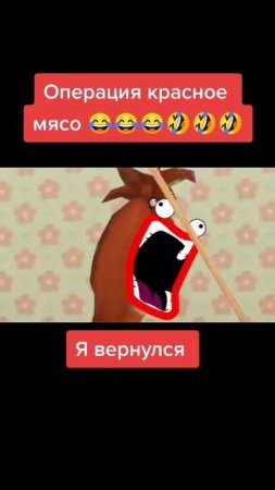 Барбоскины рпт мой первый выпуск 😂😂😂😂