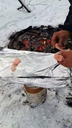 Ребрышки лося на углях - ВСЁ ДЕЛО В СОУСЕ | Суровая кухня от Лесных