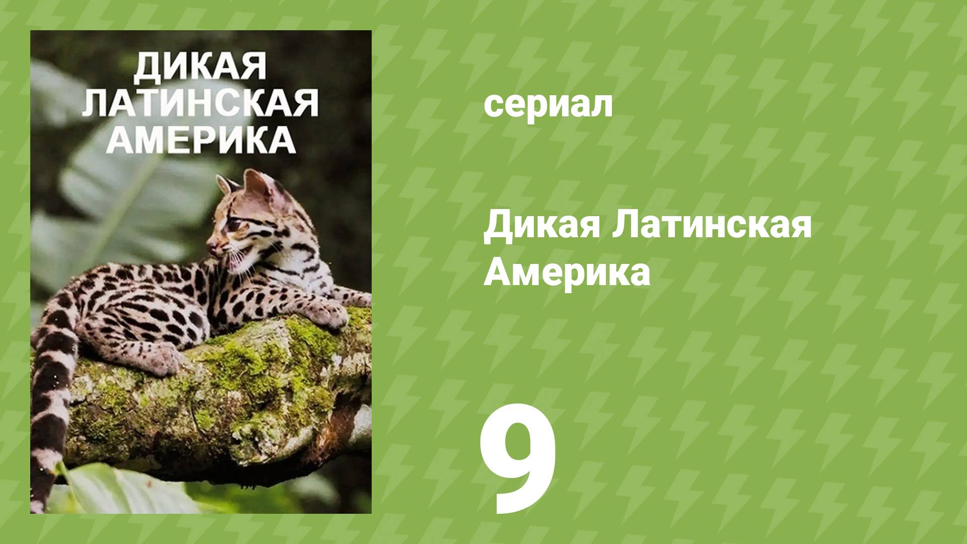 Дикая Латинская Америка 9 серия «Дикая Латинская Америка» (документальный сериал, 2020)