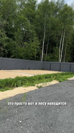 Дома в окружении леса