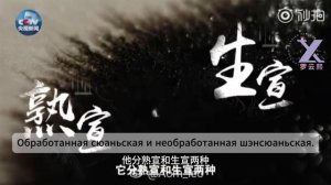 RUSSUB Ло Юньси Искусство каллиграфии