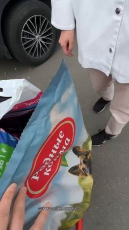 Спасибо за помощь приюту