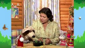 Утро в Шишкином Лесу. Тетушка Дарья. Сеем горох