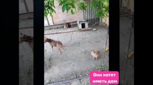 Никогда не обсуждайте чужое прошлое,ведь Ваше будущее еще неизвестно.( О бездомных).