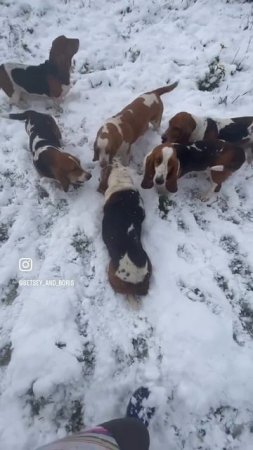 Наши девчули знают толк в «Искусстве одеваться», подробнее https://t.me/antikboutiquelove/646