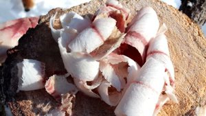 Дикая кухня - СТРОГАНИНА ИЗ РЫБЫ | BUSHCRAFT COOKING - FROZEN FISH