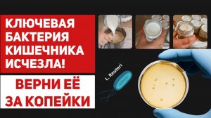 Могущественный пробиотик для запуска омоложения - готовим сами самый полезный йогурт