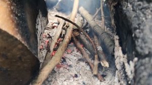 СТРОИМ ДОМ в ЛЕСУ | МЕДВЕДЬ ОХОТИТСЯ на ЛОСЯ | МНОГО МЕДВЕЖАТ на ПРИВАДЕ | A-FRAME СВОИМИ РУКАМИ