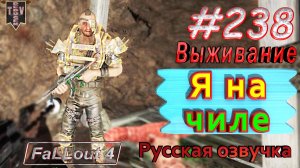Я на чиле. Fallout 4. #238. Прохождение. Выживание. Русская озвучка.