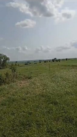 Летние вызовы