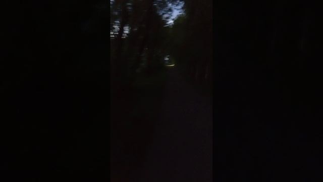 Беззаботно, весело и дружно: прогулка в летний вечер-Cleaning shadow on street