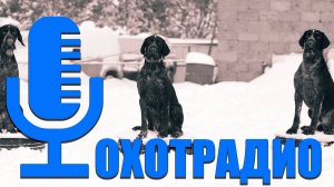 ОХОТРАДИО  / КАК ОХОТИТСЯ И РЫБАЧИТЬ БЕЗ ЗАМОРОЧЕК???