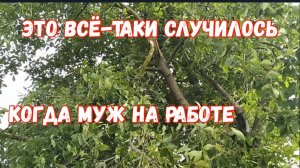#39Ливень и гроза/Сломало орех/Заготовки на зиму борщ