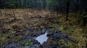 Ушли ЖИТЬ В ЛЕС пока СТРОИМ ДОМ | Как ПОСТРОИТЬ теплое УКРЫТИЕ за несколько часов