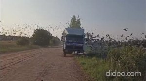 4 гонка. 532км. Московский регион. Старт 15 июня 2025 года.