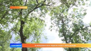 В Мордовии всю неделю будут лить дожди