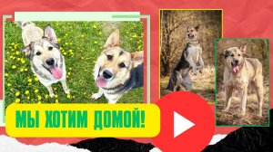УЖАС - позади, впереди счастливая жизнь!