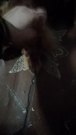 1000130126.mp4