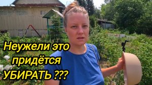 КУПИЛИ ДОМ В ДЕРЕВНЕ | Неужели это придется убирать | Деревенские хлопоты | Семья в селе