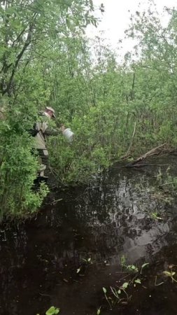 Форсируем болото.