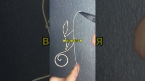 история