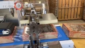 Запуск горизонтальной упаковочной машины DXDZ-900W для кондитерских изделий