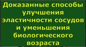 Доказанные способы улучшения эластичности сосудов и уменьшения биологического возраста