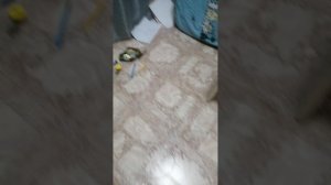 С днем выпуска ролика