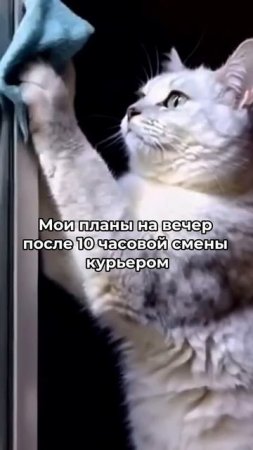 ❌ План: дом блестит после смены. 🫧
✅ Реальность: я «блестю» в ванной. 🤪🛀

#ТопGo_работа