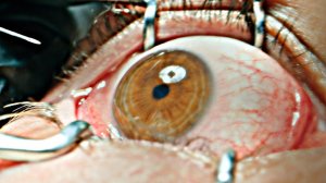 Обитель - Русский трейлер (Дубляж, 2025) Пит Дэвидсон