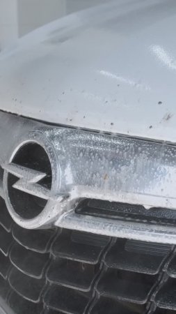 Удаление пятен от насекомых с кузова авто #уходзааавто #авто #detailing